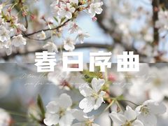 -大宁公园