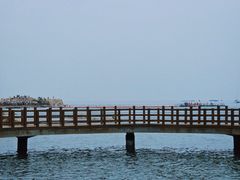-养马岛旅游度假区