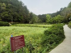 -韶山毛泽东同志故居