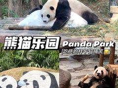 -广州长隆野生动物世界