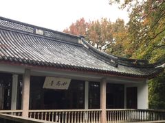 -溪口-滕头旅游景区