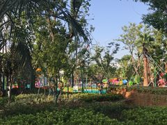 -苏州乐园森林水世界