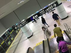 -上海体育馆(地铁站)