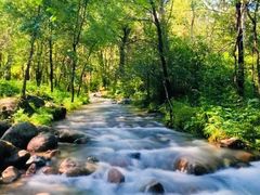 -玉渡山自然风景区