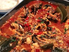 -鱼酷活鱼烤鱼(南京水游城店)