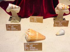 -北海·海洋之窗