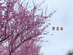 -白塘生态植物园