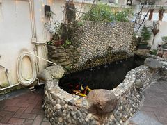 -茶米人台湾料理·精致快简餐