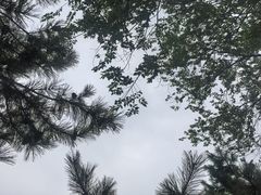 -绿堤公园