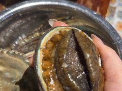 -77号渔船·蒸海鲜青岛菜(积米崖店)