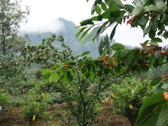 -樱桃山旅游景区