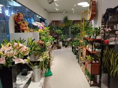 -怡花宜木鲜花店(朝阳路店)