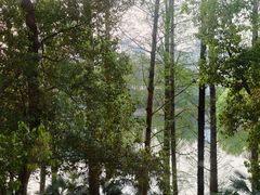 -东湖宾馆-中餐厅