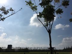 -上海长兴岛郊野公园