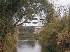 -白鹭湾湿地公园