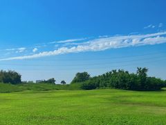 -渭河城市绿地运动公园