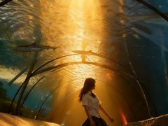 -太平洋海底世界