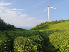 -东白山