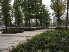 -百林公园-两江幸福广场