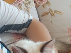 -Sweet cat·星愿猫咖(国贸大厦店)