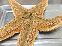 -众想海鲜·烧烤·海肠捞饭·渔家菜(孙家疃店)