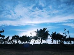 -日照世帆赛基地