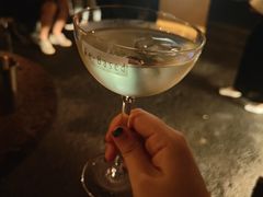 轻蛇-毛辣果·酸