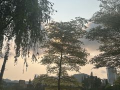 -四海公园(南山区)