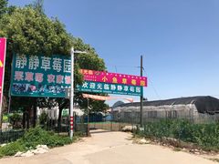 -小鱼草莓采摘园农家乐·小鱼餐厅