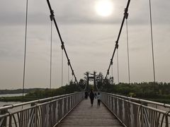 -西青郊野公园