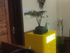 -竹雀古法采耳(青岛麦凯乐店)