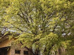 -广州市紫泥堂文化创意园景区