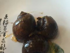 -陶然居·重庆菜(南滨路店)