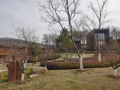 -南京市无想山景区