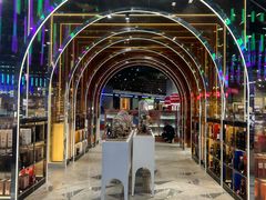 -谢列梅捷沃国际机场