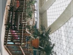 -杭州开元森泊度假乐园