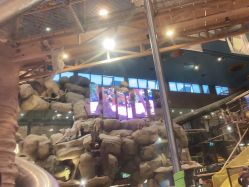 -卡通尼·Safari非洲探索乐园·生日会(金桥国际商业广场店)