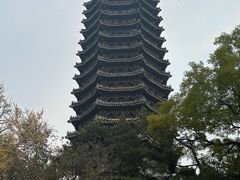 -北京大学百年讲堂