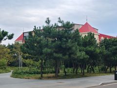 -日照海滨国家森林公园