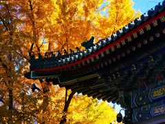 -香山公园