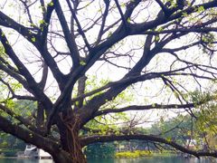 -晓港公园