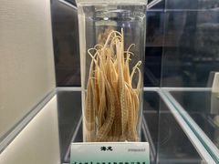 -广东中医药博物馆