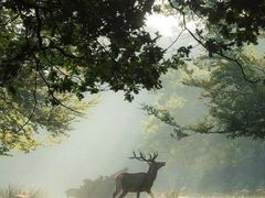 -布波运动公园羽毛球场