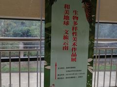 -昆明市博物馆(昆明市文物保护和考古研究中心)