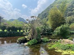 -靖西鹅泉风景区