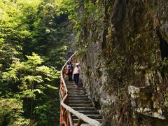 -鹿院坪生态旅游景区
