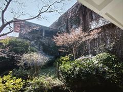 -中国茶叶博物馆(双峰馆区)
