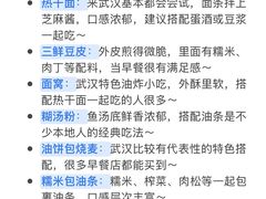 -武汉知音号