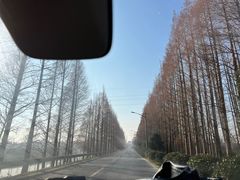 -上海海湾国家森林公园