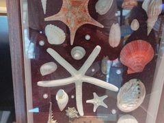 -连鹭海鲜·海肠捞饭·海胆饭(星海店)